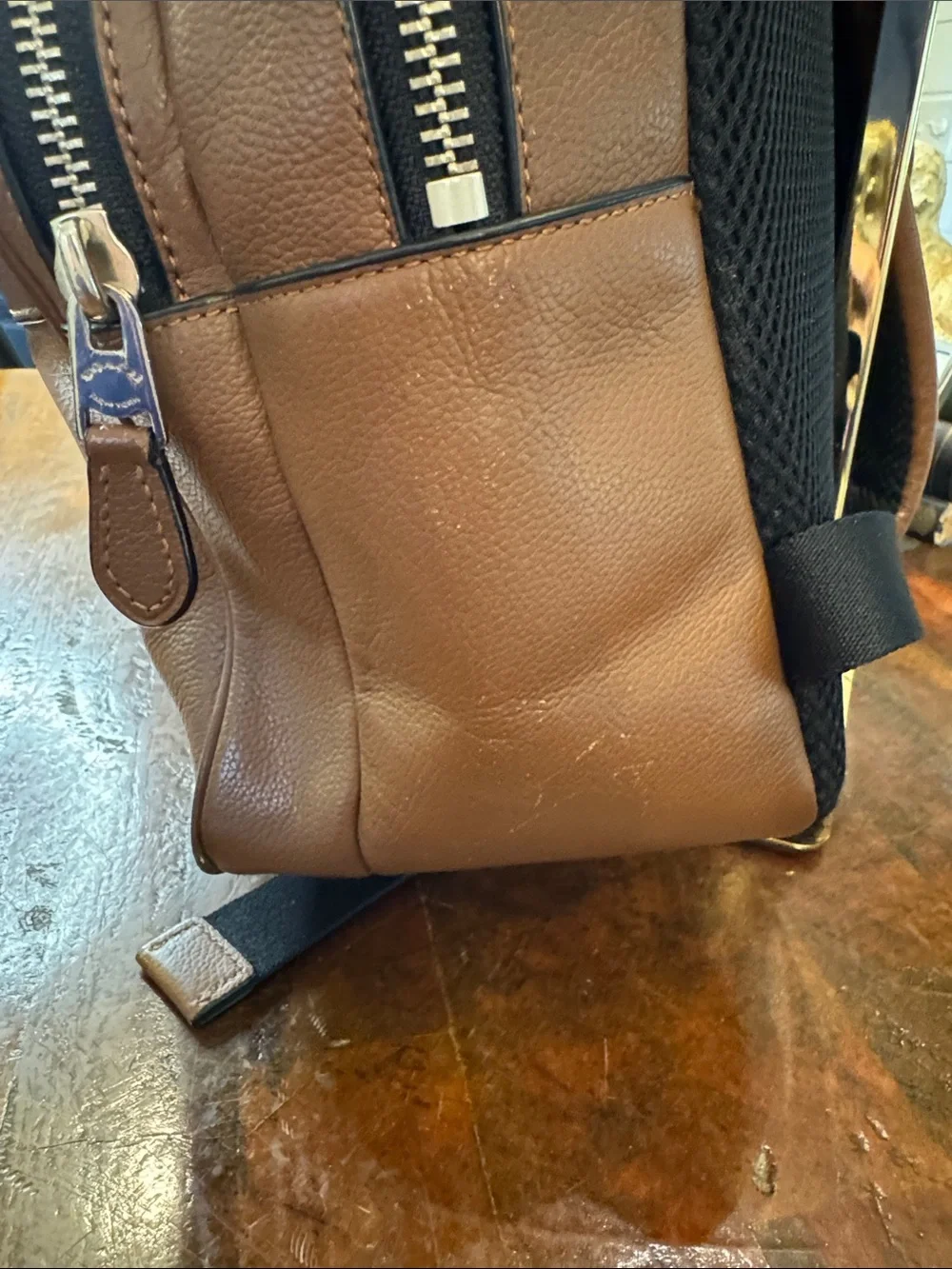 Coach Men’s Hudson  Chestnut Leather Backpack